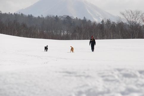 雪原散歩.JPG